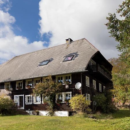 Waelder: Quartier Dachsberg Βίλα Dachsberg im Schwarzwald Εξωτερικό φωτογραφία