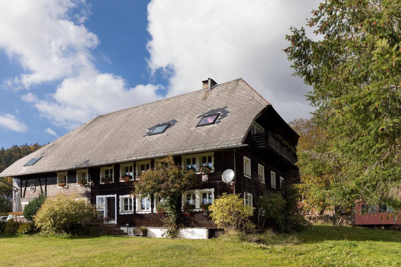 Waelder: Quartier Dachsberg Βίλα Dachsberg im Schwarzwald Εξωτερικό φωτογραφία
